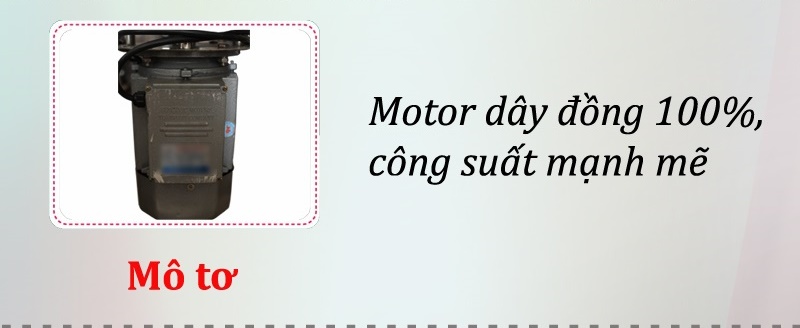motor máy nhổ lông gà Việt Nam
