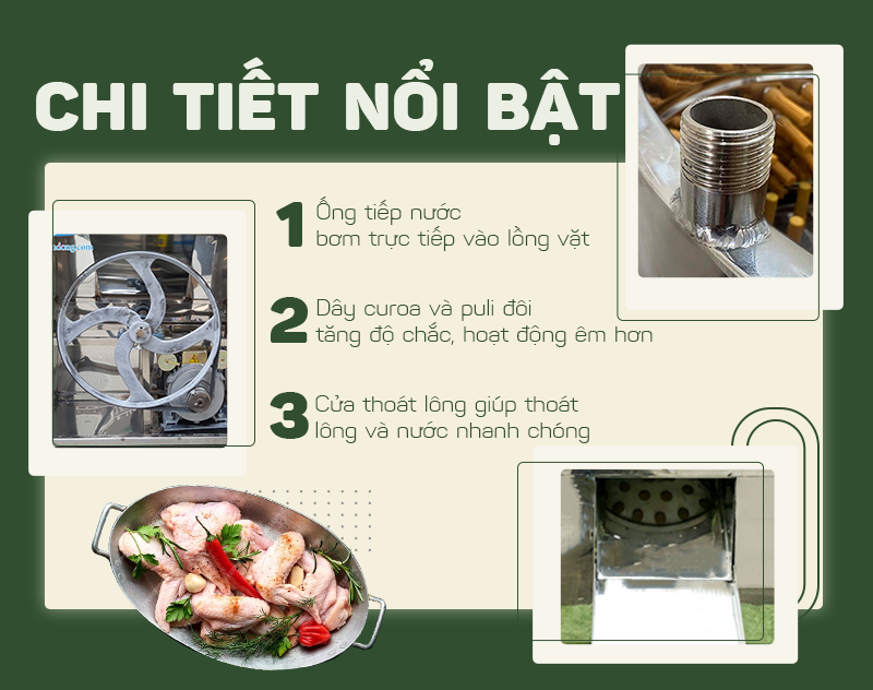 Tham khảo ngay: Máy vặt lông gà giá bao nhiêu? Tham khảo ngay: Máy vặt lông gà giá bao nhiêu?