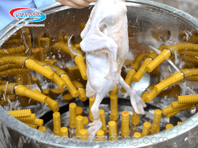 máy vặt lông vịt VD70 máy vặt lông vịt VD70